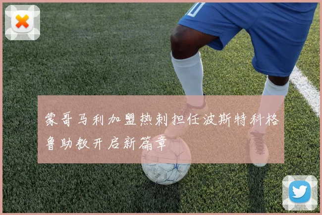 蒙哥马利加盟热刺担任波斯特科格鲁助教开启新篇章